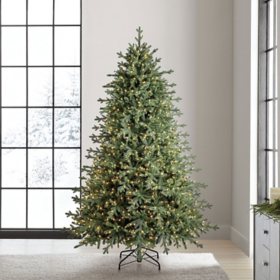 Member's Mark 7.5' 1,000 LED Pre-lit Linden Spruce Christmas Tree