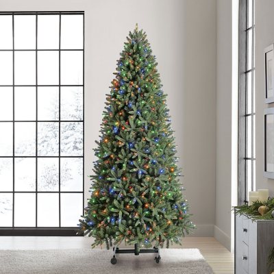 What Is a Grow-and-Stow Christmas Tree? Shop Our 2023 Picks