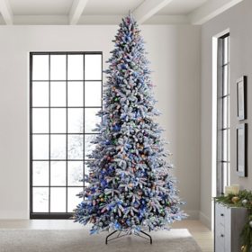 Member's Mark 12' 1,000 LED Pre-lit Flocked Aspen Pine Christmas Tree