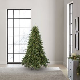 Member's Mark 7.5' 600 LED Pre-lit Spruce Pine Christmas Tree