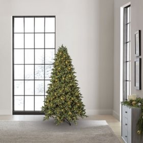 Member's Mark 7.5' 3,000 LED Pre-lit Norway Fir Christmas Tree