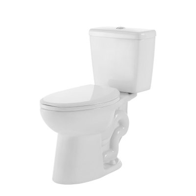 High-Efficiency 2-Piece Elongated Dual-Flush Toilet, White