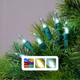 Member's Mark 200 Count LED Mini Lights (Assorted Colors)