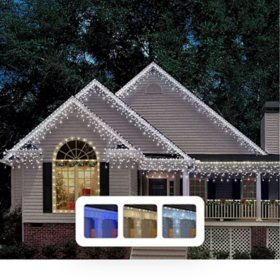 Member's Mark 300 Micro LED Icicle Lights (Assorted Colors)