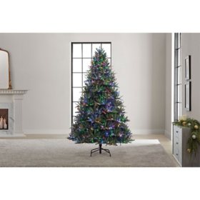 Member's Mark 7.5' 700 LED Pre-lit Bristle Fir Christmas Tree