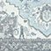 Gray Medallion, variant on Member's Mark Everwash Willow Indoor/Outdoor Area Rug, 5' x 8'