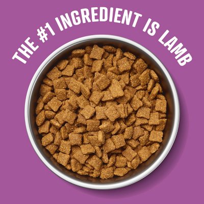 Sam's club lamb and rice dog food sales
