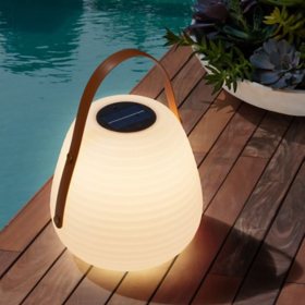 Member's Mark Outdoor Solar LED Lantern