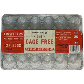 Member's Mark Cage Free Grade A Large White Eggs, 2 dozen