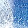 Cool White to Blue, variant on Member's Mark 150ct LED C6 Lights, 33.5' Lighted Length