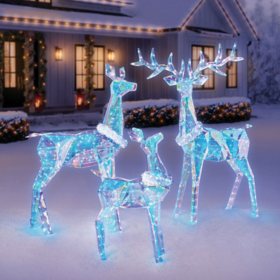 Member's Mark Pre-Lit Prismatic Deer Family, Set of 3