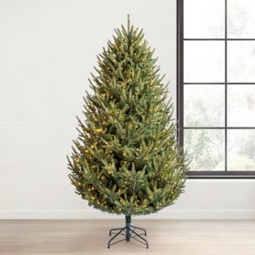 Member's Mark  7.5' Duchess Fir Pre-Lit Christmas Tree