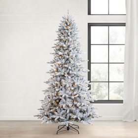 Member's Mark 9' Flocked Aspen Pre-Lit Christmas Tree