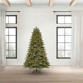 Member's Mark 7.5' Norway Fir Pre-Lit Christmas Tree