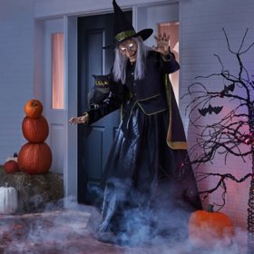 Member's Mark 6' Pre-Lit Animated Vintage Witch