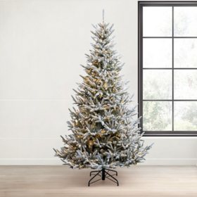 Member's Mark 7.5' Snowy Georgia Fir Pre-Lit Christmas Tree