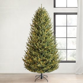 Member's Mark  9' Duchess Fir Pre-Lit Christmas Tree