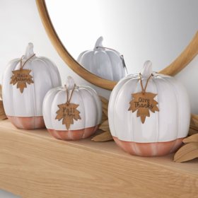 Member's Mark Harvest Ceramic Pumpkins, Set of 3