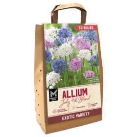 Member's Mark Allium July 4th Blend Dormant Bulbs, 50pk