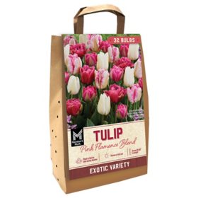 Member's Mark Tulip Pink Flamenco Blend Dormant Bulbs, 32pk