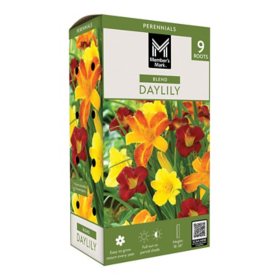 Member's Mark Daylily Blend Dormant Bulbs, 9pk