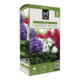 Member's Mark Garden Phlox Blend Dormant Bulbs, 8pk