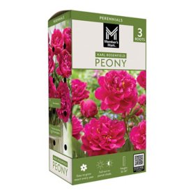 Member's Mark Peony Karl Rosenfield Dormant Bulbs, 3pk