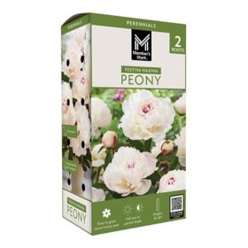 Member's Mark Peony Festiva Maxima Dormant Bulbs, 2pk