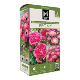 Member's Mark Peonies Bowl of Beauty & Margaret Truman Dormant Bulbs, 3pk