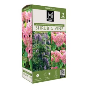 Member's Mark Wisteria & Hydrangea Wisteria Purple & Hydrangea Peegee Pink Dormant Bulbs, 2pk
