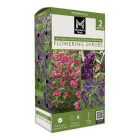 Member's Mark Buddleia & Weigela Butterfly Bush Blue & Weigela Deep Pink Dormant Bulbs, 2pk