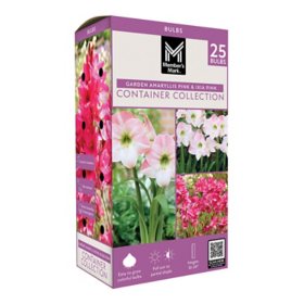 Member's Mark Garden Amaryllis Pink & Ixia Pink Dormant Bulbs, 25pk