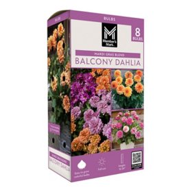 Member's Mark Balcony Dahlia Mardi Gras Blend Dormant Bulbs, 8pk