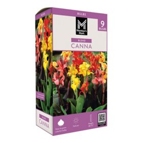 Member's Mark Canna Blend Dormant Bulbs, 9pk