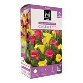 Member's Mark Calla Lily Pink & Yellow Blend Dormant Bulbs, 9pk