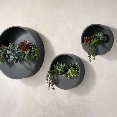 Wall mounted plant holders online