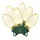 Warm White, variant on Member's Mark 50ct LED C9 Lights, 21' Lighted Length