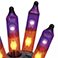 Purple/Orange, variant on Member's Mark 100ct Dual Color Mini LED Lights, 22.3' Lighted Length