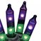Purple/Green, variant on Member's Mark 100ct Dual Color Mini LED Lights, 22.3' Lighted Length