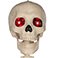 Bone, variant on Member's Mark Talking Skeletons, Set of 2