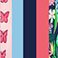 Navy, variant on Member's Mark Girls 5-Pack Cartwheel Short