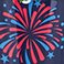 Fireworks, variant on Member's Mark 14'' Americana Hanging Flower Pot with Stainless Steel Chain