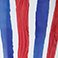 Red White & Blue Striped, variant on Member's Mark 14'' Americana Hanging Flower Pot with Stainless Steel Chain