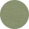 Green, variant on Member's Mark Active Short