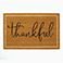 Thankful, variant on Member's Mark Harvest Coir Doormat