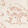 Winnie The Pooh, variant on Member's Mark Disney's Winnie the Pooh 3-Pack Bodysuits