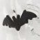 Bats, variant on Member's Mark Halloween Icon Drinking Glasses, 4-Pack
