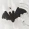 Bat, variant on Member's Mark Halloween Icon Glass Serving Bowls, Set of 2