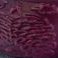 Acorn, variant on Member's Mark Mini Cocottes Embossed Fall Design, 4-Pack
