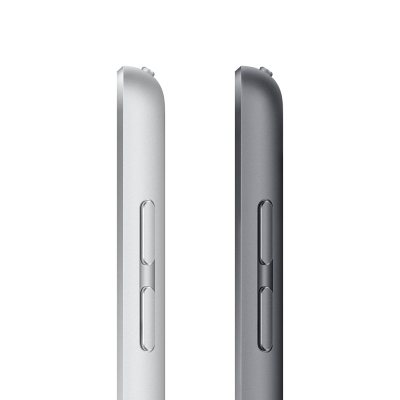 Apple iPad 10.2" 256GB, 9th Generation with Wi-Fi, Choose Color